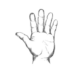 hand finger gesture palm icon. Isolated and sketch illustration. Vector graphic