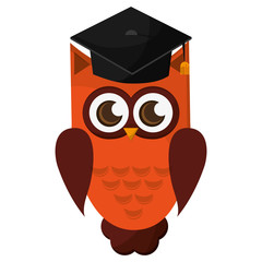 flat design owl cartoon with graduation cap icon vector illustration