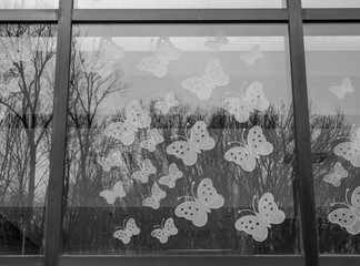 Outside image of window with decorative butterfly decals. Window with butterflies images. Stickers of butterflies on window. Tree reflection off of window. 