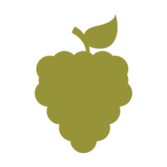 grapes fruit health icon