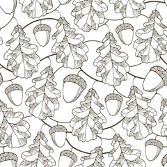 Vector seamless pattern with contour oak leaves, branches and acorns on the white background. Floral elements in linear style. Autumn background with outline oak leaf and acorn for September design.