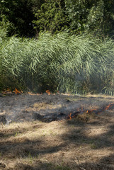 natuurbrand in gemaaid gras en riet