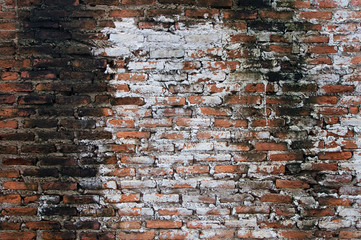 There are the brick wall. It is good background.