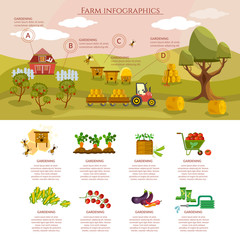 Farm infographics natural food agricultural objects vector