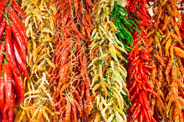 Red and green hot chilly peppers