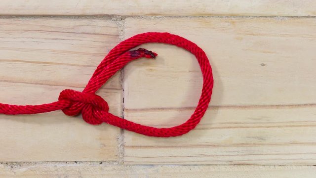 4k stop motion bowline knot made from red synthetic rope, tightening on wooden background
