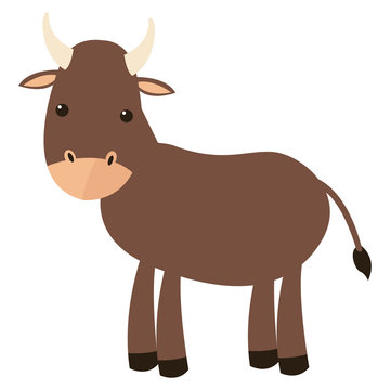 flat design bull cartoon icon vector illustration