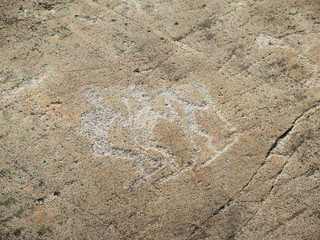 White Sea petroglyphs