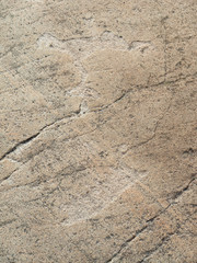 White Sea petroglyphs