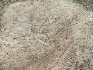 White Sea petroglyphs