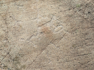 White Sea petroglyphs
