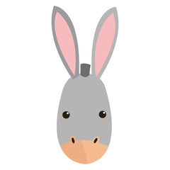 flat design donkey cartoon icon vector illustration