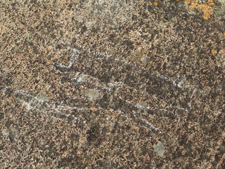 White Sea petroglyphs