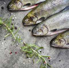 Rainbow trouts on a stone board with herbs