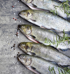 Rainbow trouts on a stone board with herbs