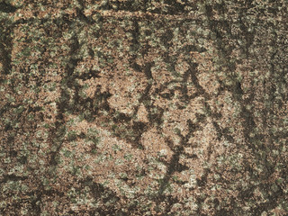 White Sea petroglyphs