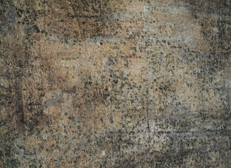 Fototapeta premium White Sea petroglyphs