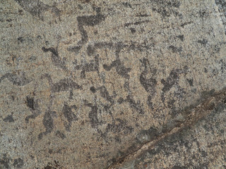 White Sea petroglyphs