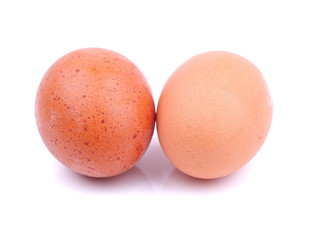Chicken eggs on a white background