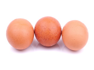 Chicken eggs on a white background
