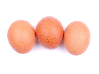Chicken eggs on a white background