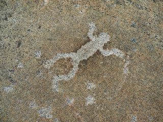 White Sea petroglyphs