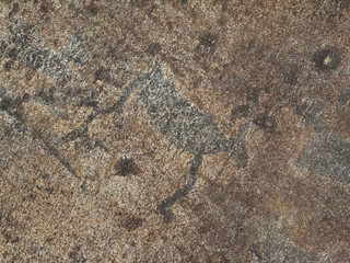 White Sea petroglyphs