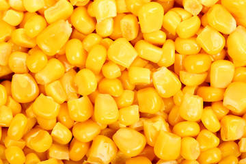 sweet corn