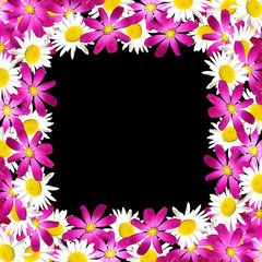 Beautiful floral background of purple and white flowers 