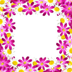 Beautiful floral background of purple and white flowers 