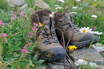 chaussures de randonnée dans l'herbe parmi les fleurs 