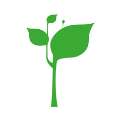 leaf plant green nature ecology icon. Isolated and flat illustration. Vector graphic