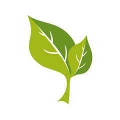 leaf plant green nature ecology icon. Isolated and flat illustration. Vector graphic