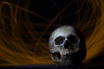 Human skull on a LED background.