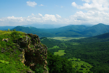 Mountain woodland in summer time