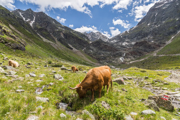 Braunschweiger H&uuml;tte