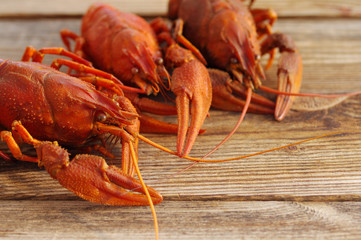 Boiled crawfish on a wooden background,  close up