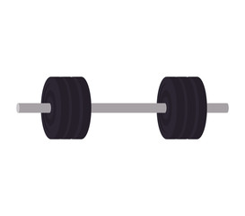 weight metal fitness gym sport icon. Isolated and flat illustration. Vector graphic