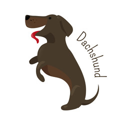 Dachshund isolated. Child fun pattern icon.