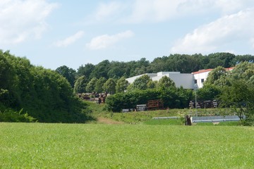 Fototapeta na wymiar Felder und Wald mit Fabrikhalle