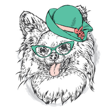 Cute puppy in a hat and sunglasses. Vector illustration for greeting card, poster, or print on clothes. Fashion & Style. Vintage. Beautiful dog.