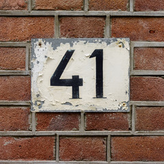 Number 41
