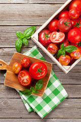 Fresh ripe garden tomatoes