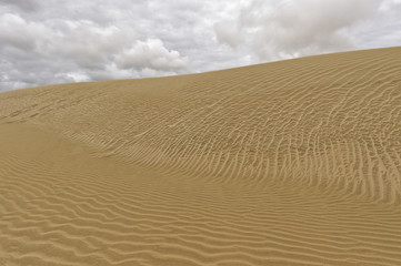 Te Paki Sand Dunes