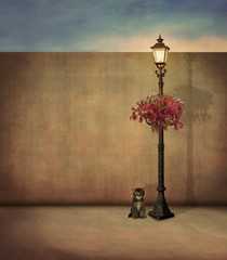 Little cat and street lamp with flowers