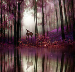 Fantasy fawn in a wild forest