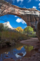 Colorful view of arch in canyon