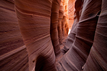 Fototapeta na wymiar Zebra slot canyon in the Utah desert