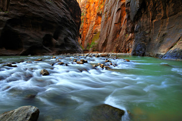 Glowing walls of the Zion Narrows