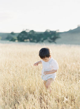 Baby boy walking in field 